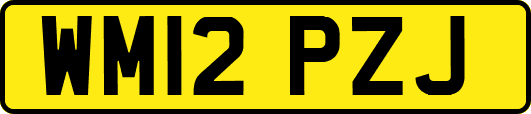 WM12PZJ