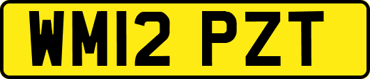 WM12PZT