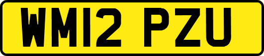 WM12PZU