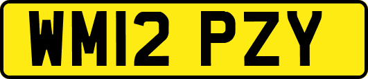 WM12PZY