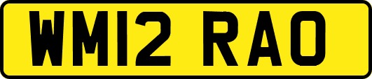 WM12RAO