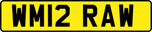 WM12RAW