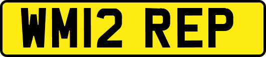 WM12REP