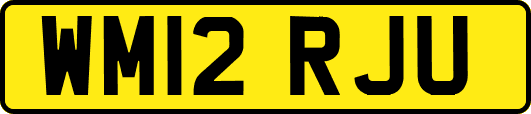 WM12RJU