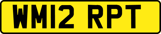 WM12RPT