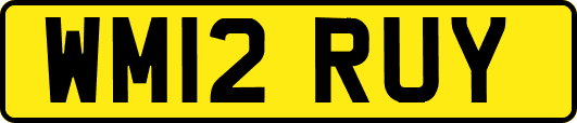 WM12RUY