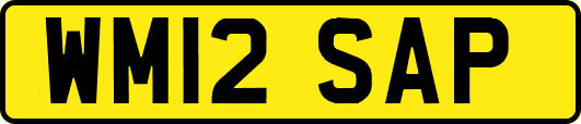 WM12SAP