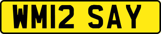 WM12SAY