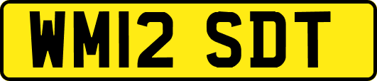 WM12SDT