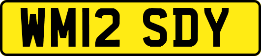 WM12SDY