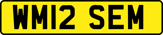 WM12SEM