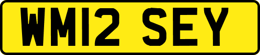 WM12SEY