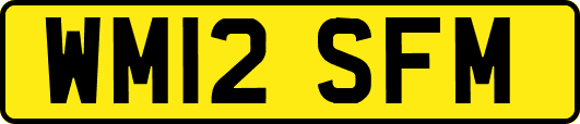 WM12SFM