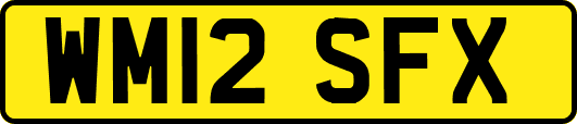 WM12SFX