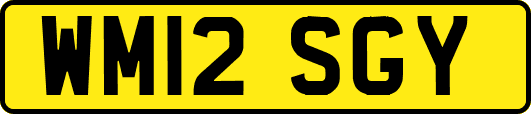 WM12SGY