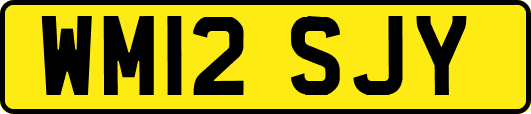 WM12SJY