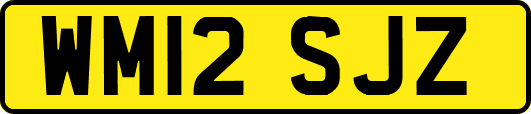 WM12SJZ