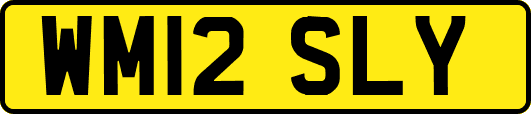 WM12SLY