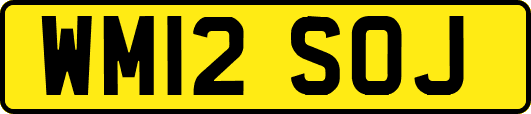 WM12SOJ