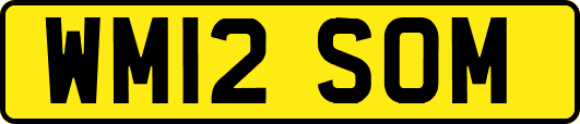 WM12SOM