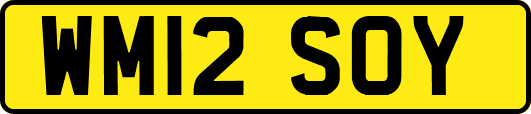 WM12SOY