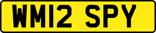 WM12SPY