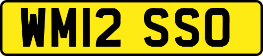 WM12SSO