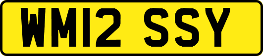 WM12SSY