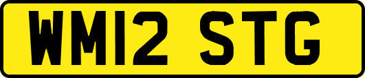 WM12STG