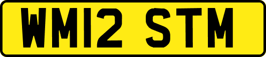 WM12STM