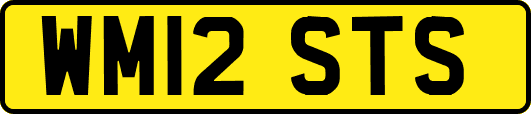 WM12STS