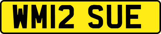 WM12SUE