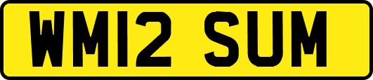WM12SUM