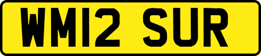 WM12SUR