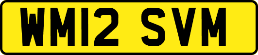 WM12SVM