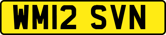 WM12SVN