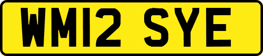 WM12SYE