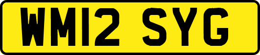 WM12SYG