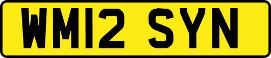 WM12SYN