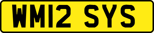 WM12SYS