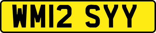 WM12SYY