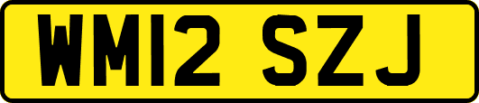 WM12SZJ