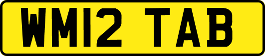 WM12TAB
