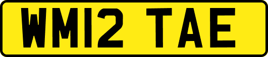 WM12TAE