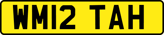 WM12TAH