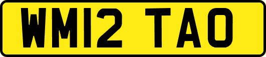 WM12TAO