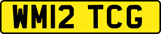 WM12TCG