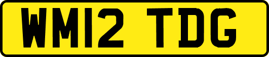 WM12TDG