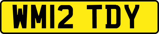 WM12TDY