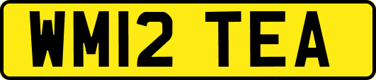 WM12TEA